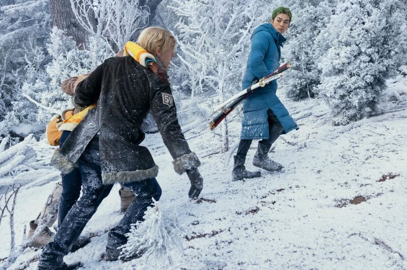 one piece neve sanji zoro